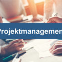 Insomnia Projektmanagement