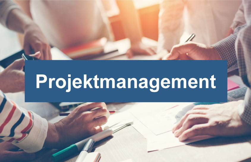 Insomnia Projektmanagement