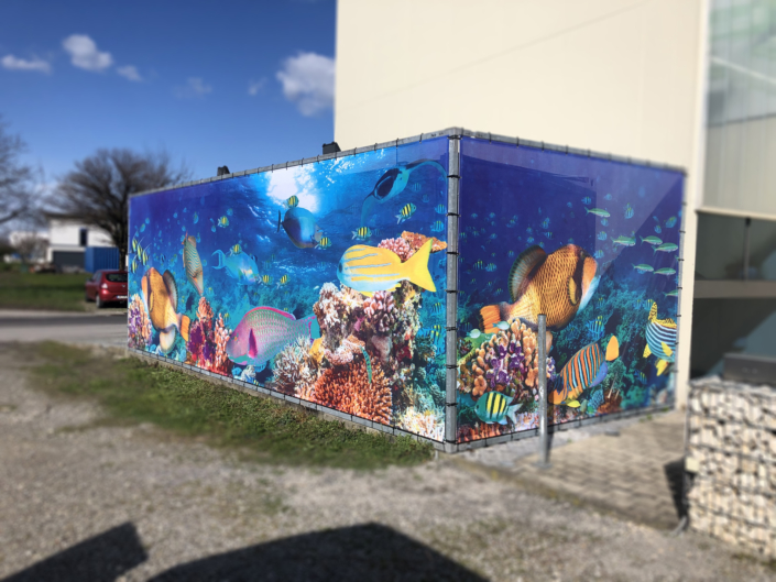 Palaoro Container 2020